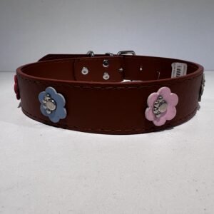 Collar mascota-cuero