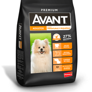 AVANT ADULTO razas miniaturas y pequeñas 2Kg - 4Kg